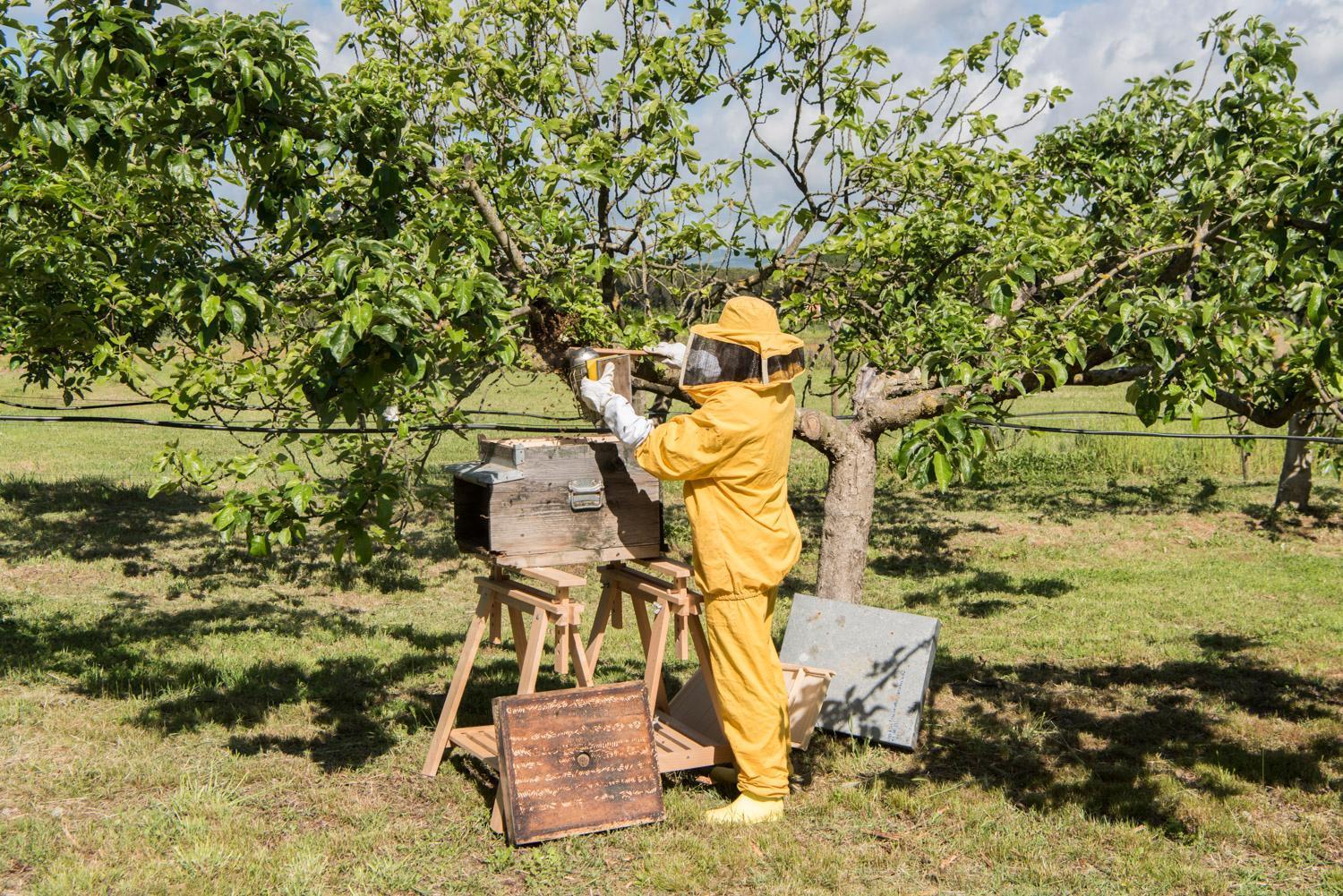 פומרנצה Bioagriturismo Il Cerreto מראה חיצוני תמונה